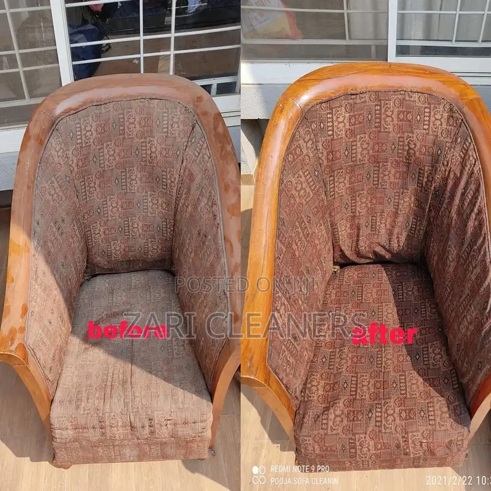 Professional Technicians for Sofa Cleaning
