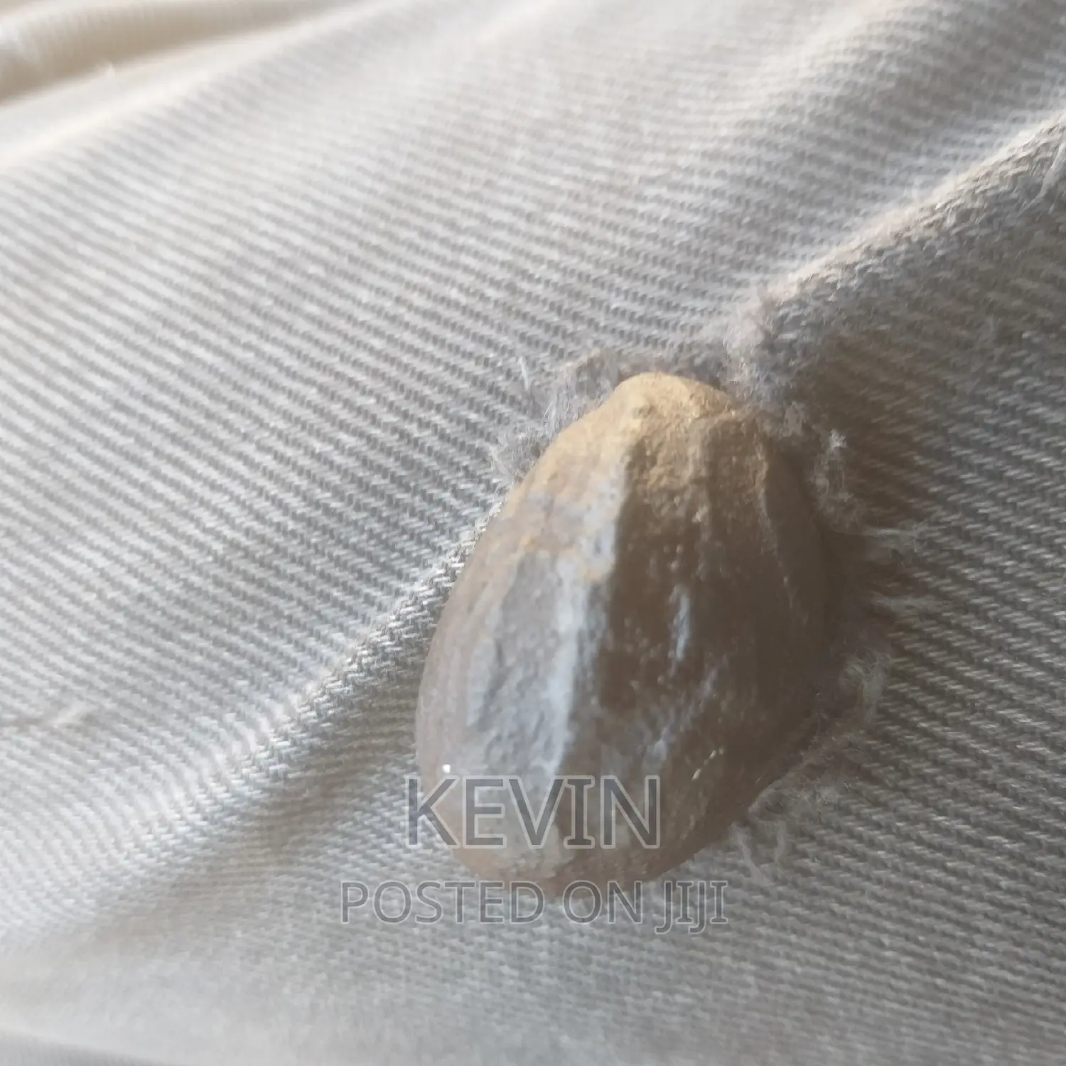 Pure Propolis
