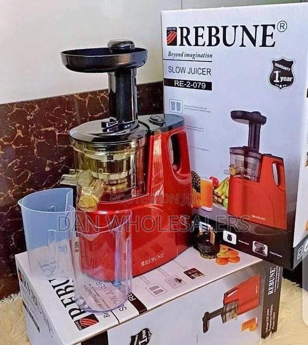 Rebune Slow Juicer With 2 Outlet for Juice Pulp