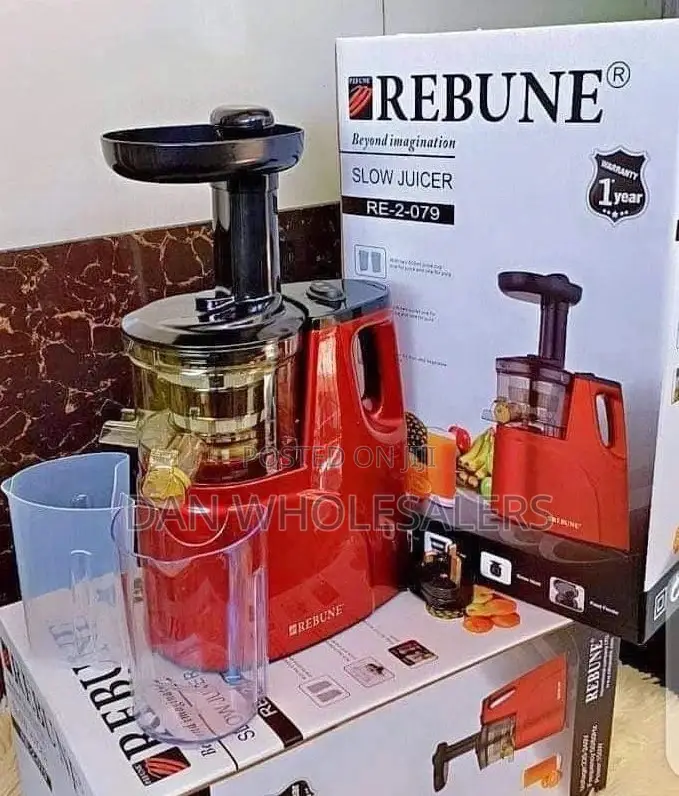 Rebune Slow Juicer With 2 Outlet