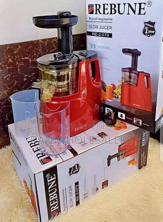 Fine Slow Juicer Machine Rebune - main view