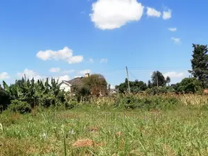 100x100 Plot for Sale in Kikuyu Ondiri Kiambu
