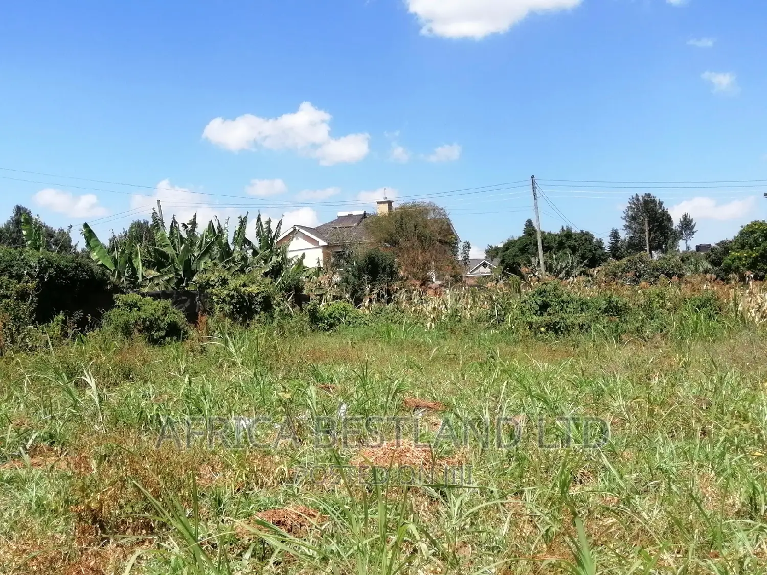 100x100 Plot for Sale in Kikuyu Ondiri Kiambu