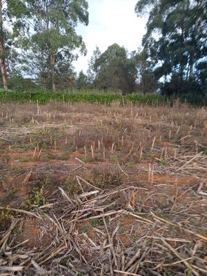 5 Acres Merewet With Title of Five. - main view