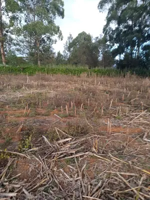 5 Acres Merewet With Title of Five.