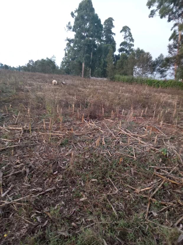 5 Acres Merewet With Title of Five. - thumbnail 2