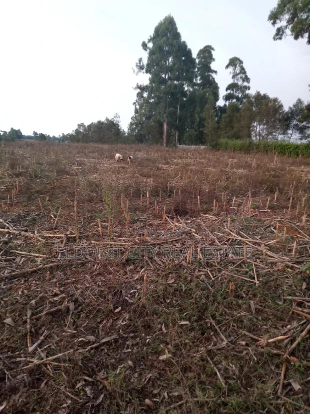 5 Acres Merewet With Title of Five. - thumbnail 3