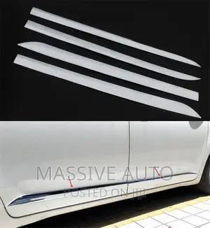 Car Side Door Body Molding
