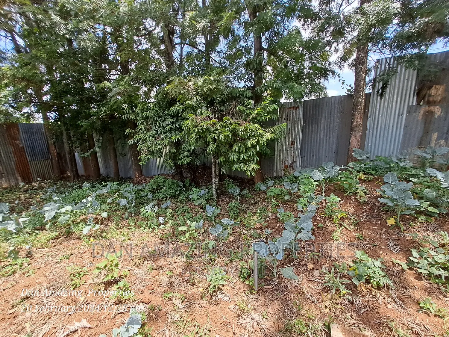Bigger 1/8 for Lease in Karen Gataka Road