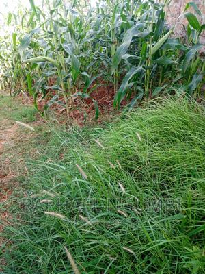 Machakos Katethya/Canaan - thumbnail 2