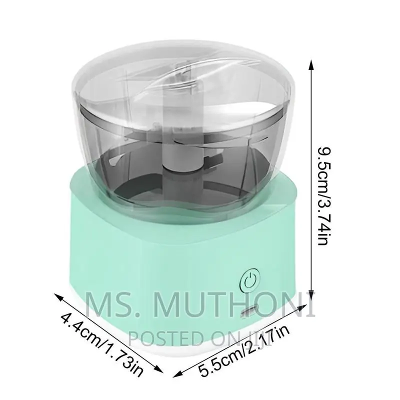 Mini Food Processor With 2 Blade Options