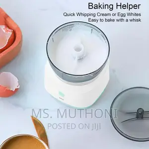 Mini Food Processor With 2 Blade Options