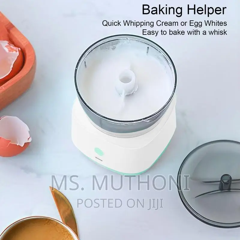 Mini Food Processor With 2 Blade Options