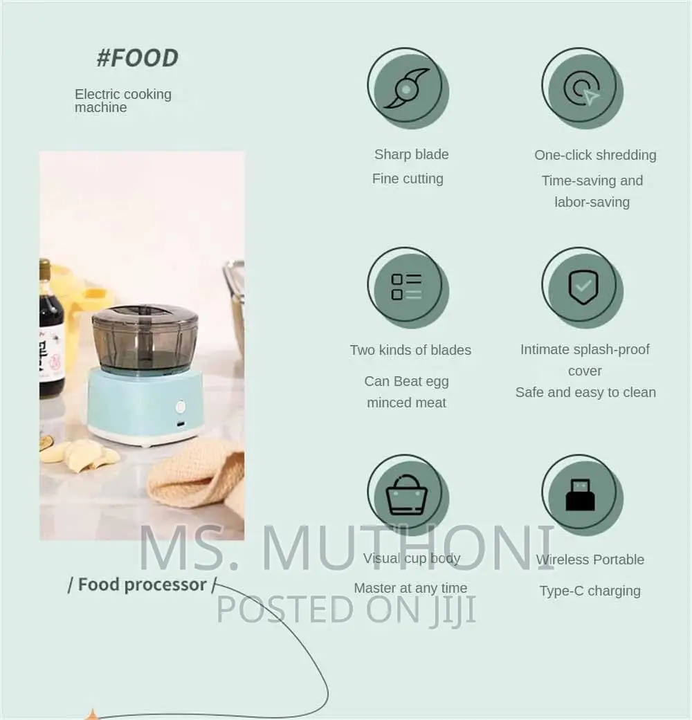 Mini Food Processor With 2 Blade Options