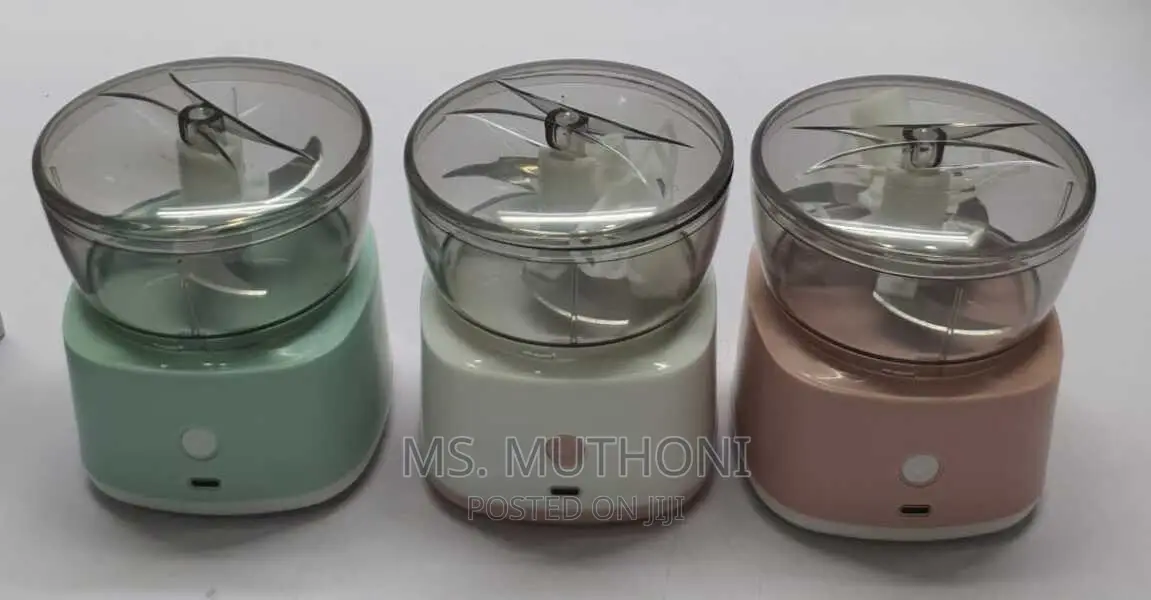 Mini Food Processor With 2 Blade Options