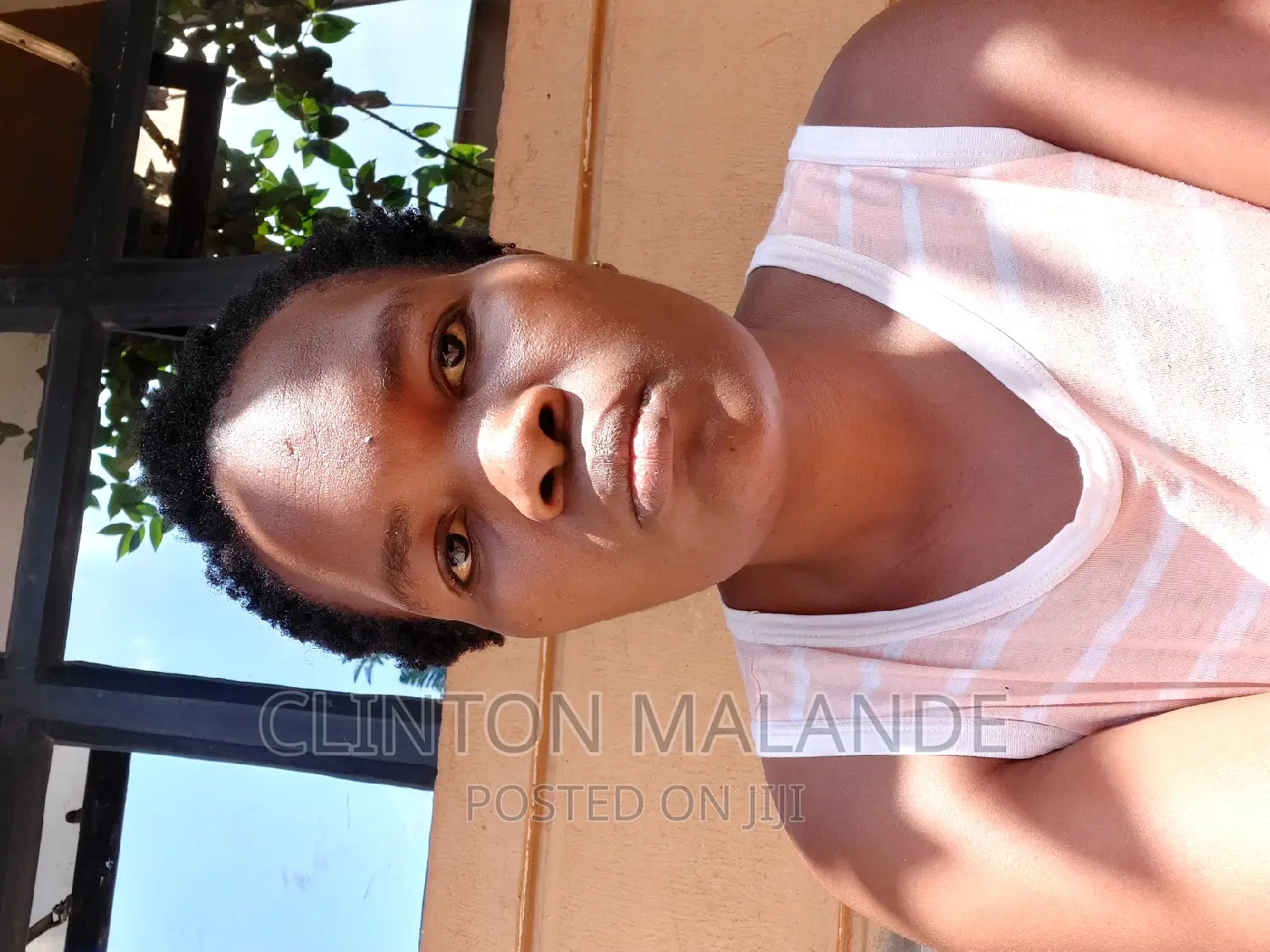 Housekeepers and Cleaners