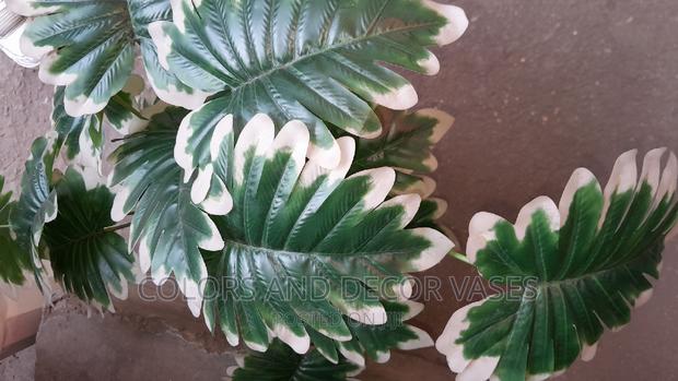Unique Plant on Request