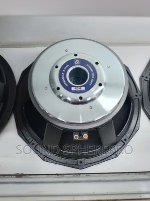 BM PD 18 18inch Bass Speaker
