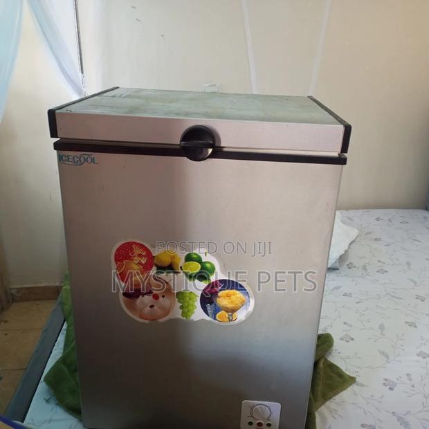 Healthy Budgies - thumbnail 5