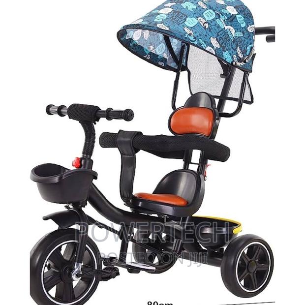 Tricycle With Push Handle and Canopy. - main view