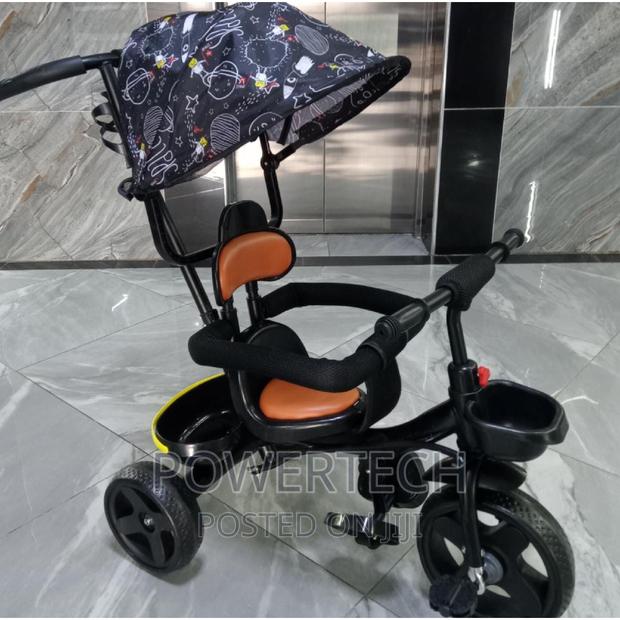 Tricycle With Canopy and Push Handle - main view