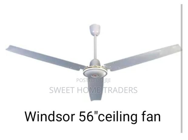 Windsor Fan Ceiling 56"