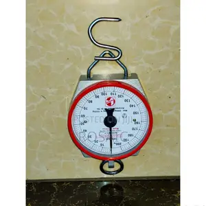200 KGS Hanging Scale