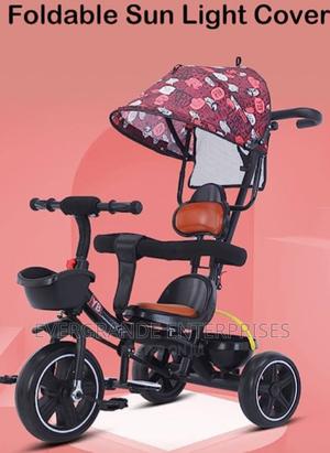 Tricycle With Canopy ,Tricycle Kids With Push Handle - thumbnail 2