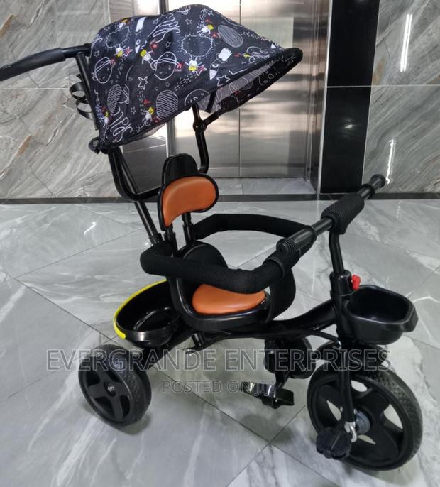 Tricycle With Canopy ,Tricycle Kids With Push Handle - main view