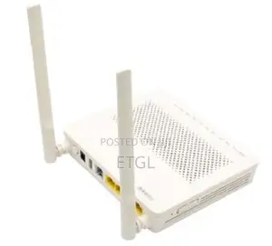 Router XPON Router Long Antennae