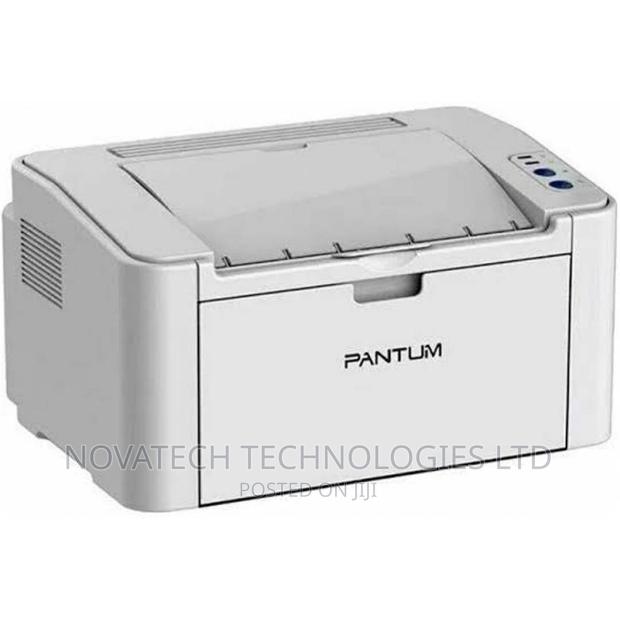 Printer Pantum Laser P2509W Mono (P2509W) - main view