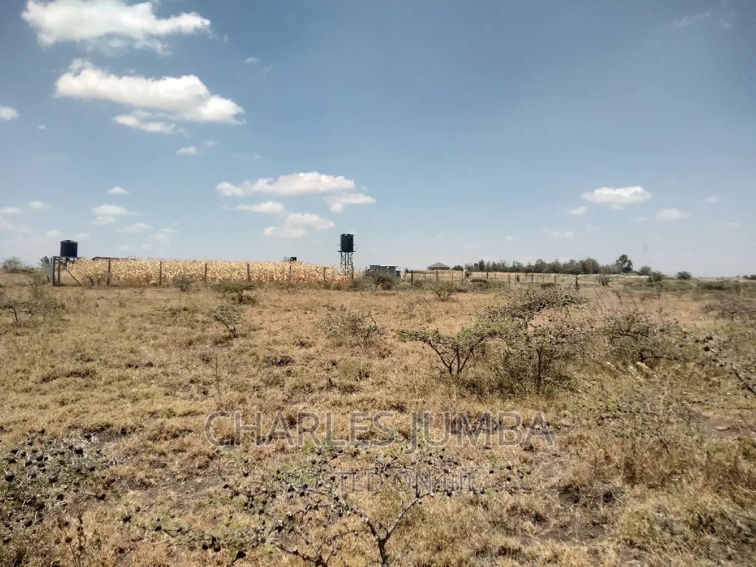 1/2 Acre Plot in Chuna B