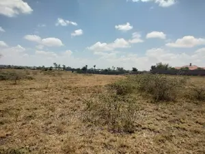 1/2 Acre Plot in Chuna B