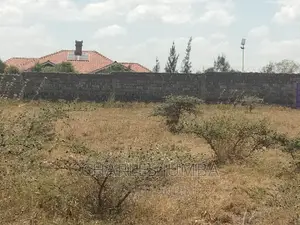 1/2 Acre Plot in Chuna B