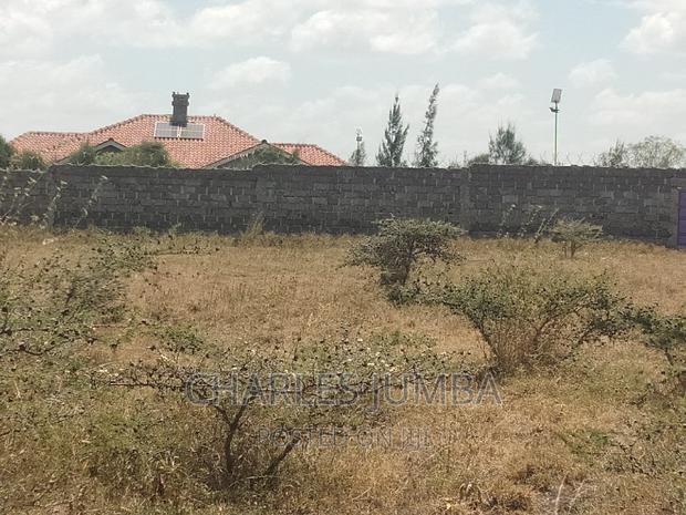 1/2 Acre Plot in Chuna B - thumbnail 3