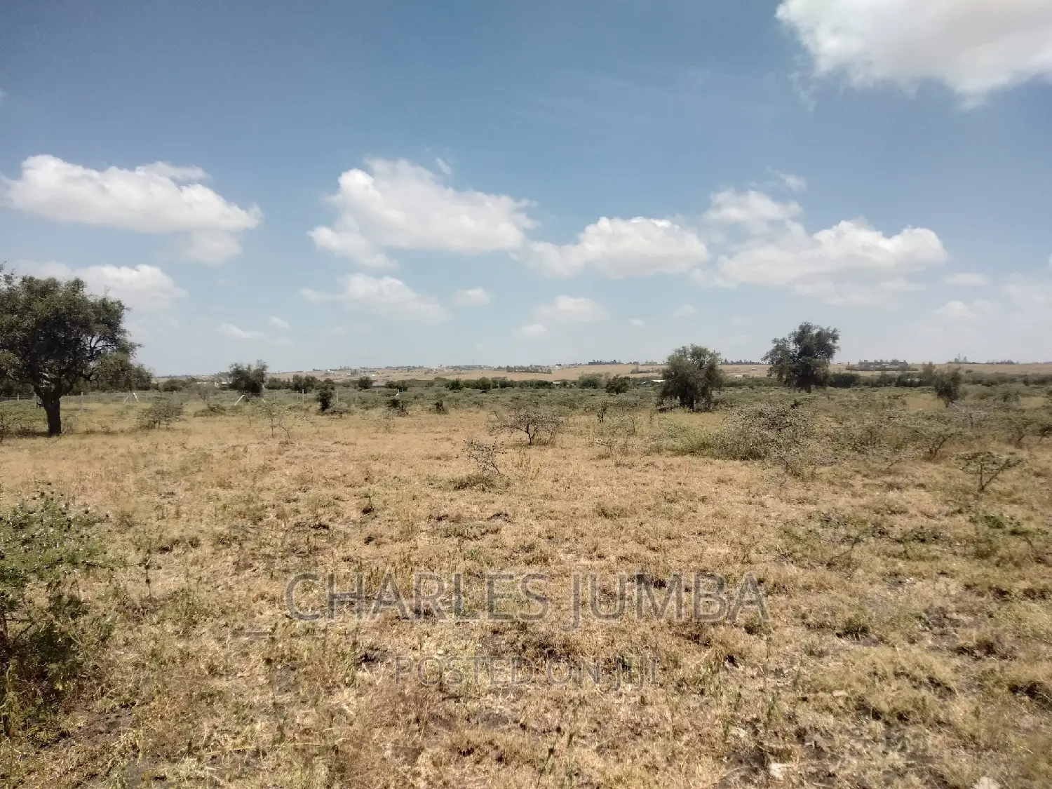 1/2 Acre Plot in Chuna B