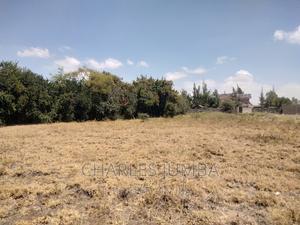 1/4 Acre Plot in Chuna B - thumbnail 2