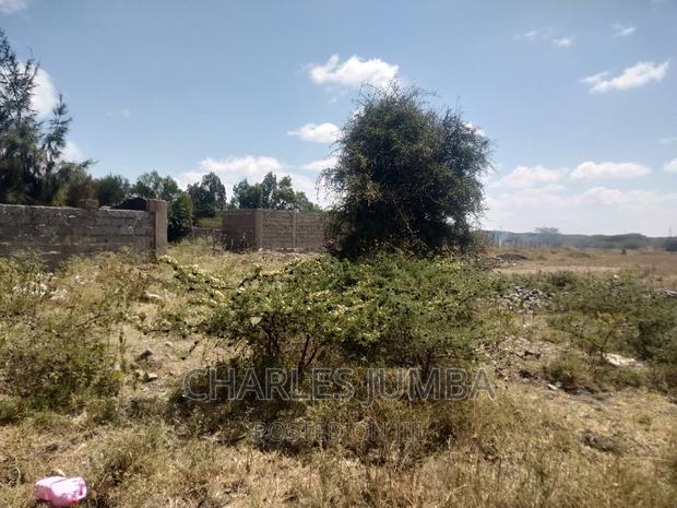 1/4 Acre Plot in Chuna B - thumbnail 4