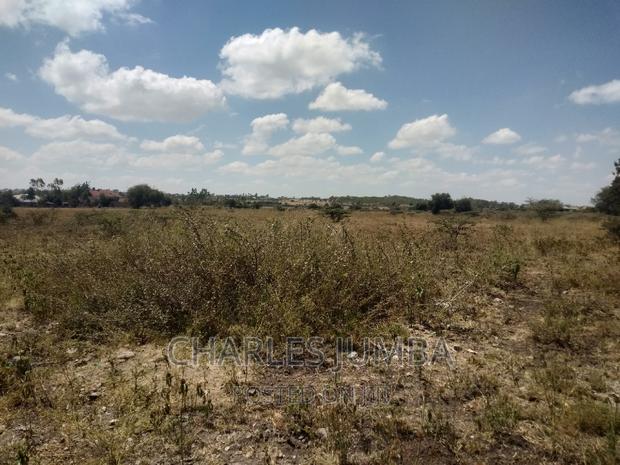 1/4 Acre Plot in Chuna B - thumbnail 5