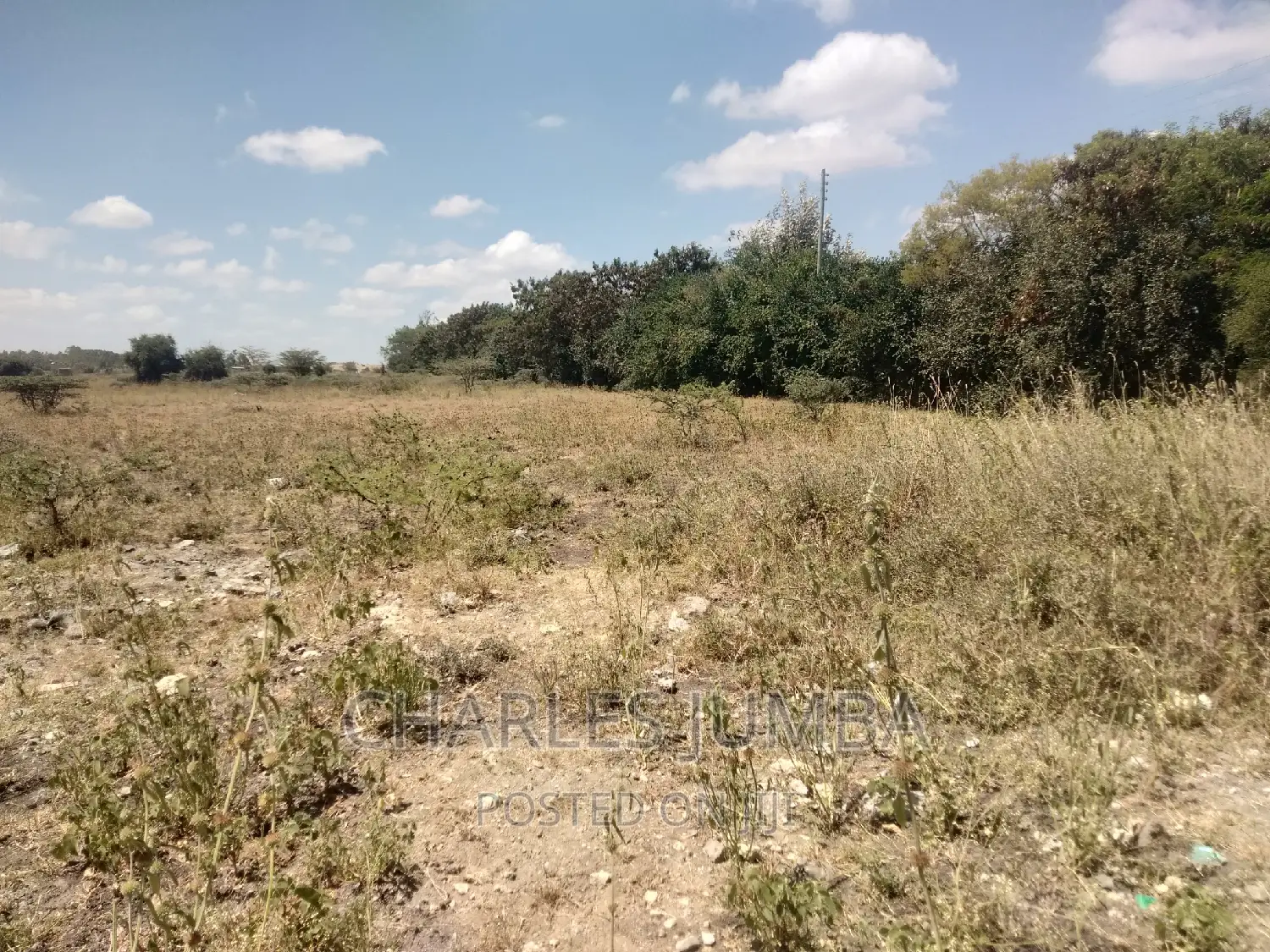 1/4 Acre Plot in Chuna B