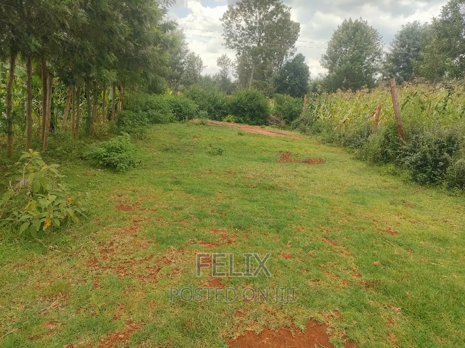 Nyeri Majengo 50/100