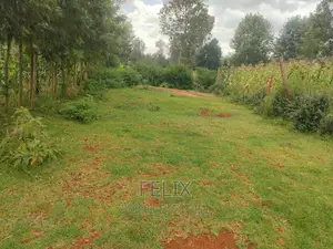 Nyeri Majengo 50/100