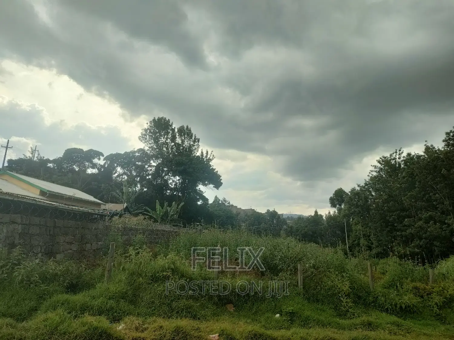 Nyeri Majengo 50/100