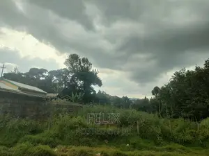 Nyeri Majengo 50/100
