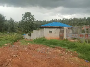 Nyeri Majengo 50/100