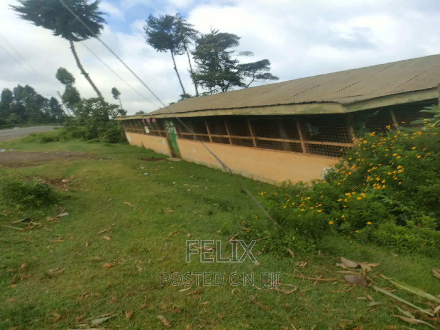 4 Acres Karatina/Kagochi University Main Tarmac