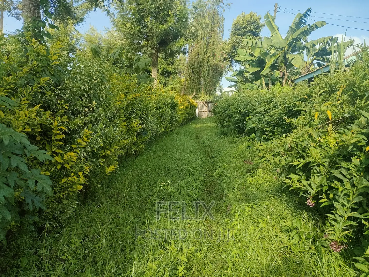 4 Acres Karatina/Kagochi University Main Tarmac