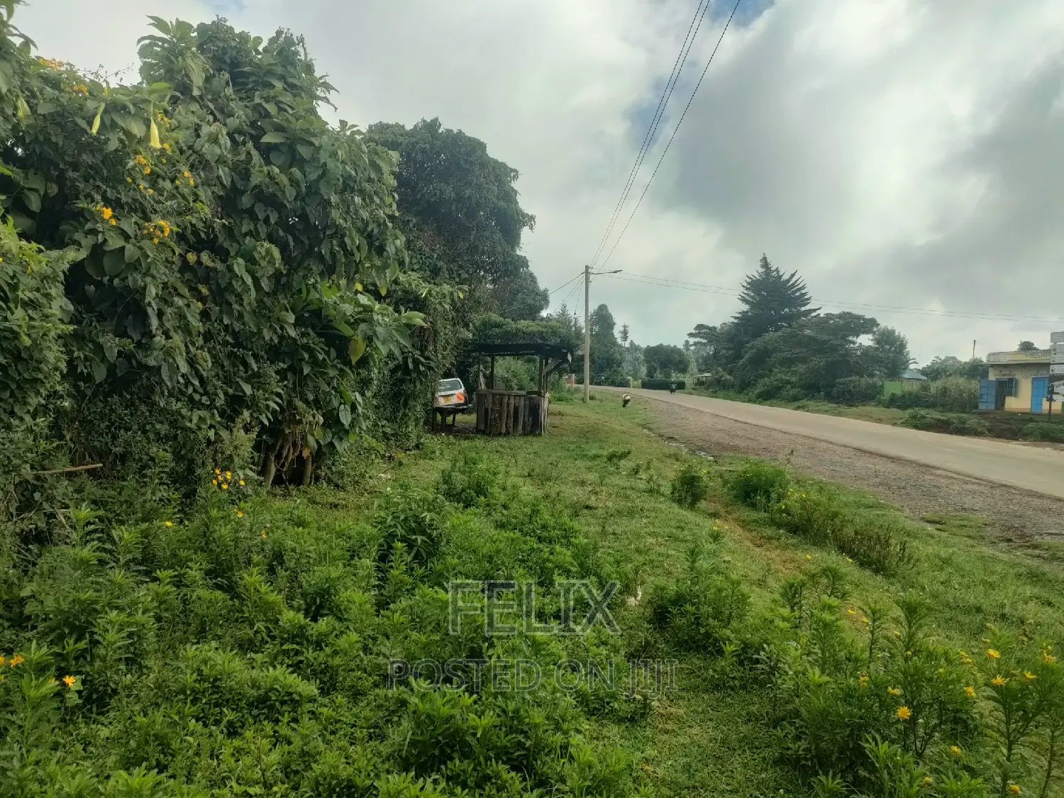 4 Acres Karatina/Kagochi University Main Tarmac