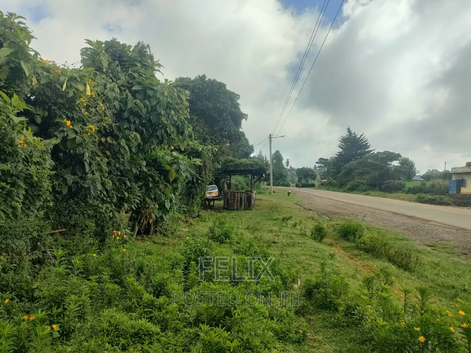 4 Acres Karatina/Kagochi University Main Tarmac