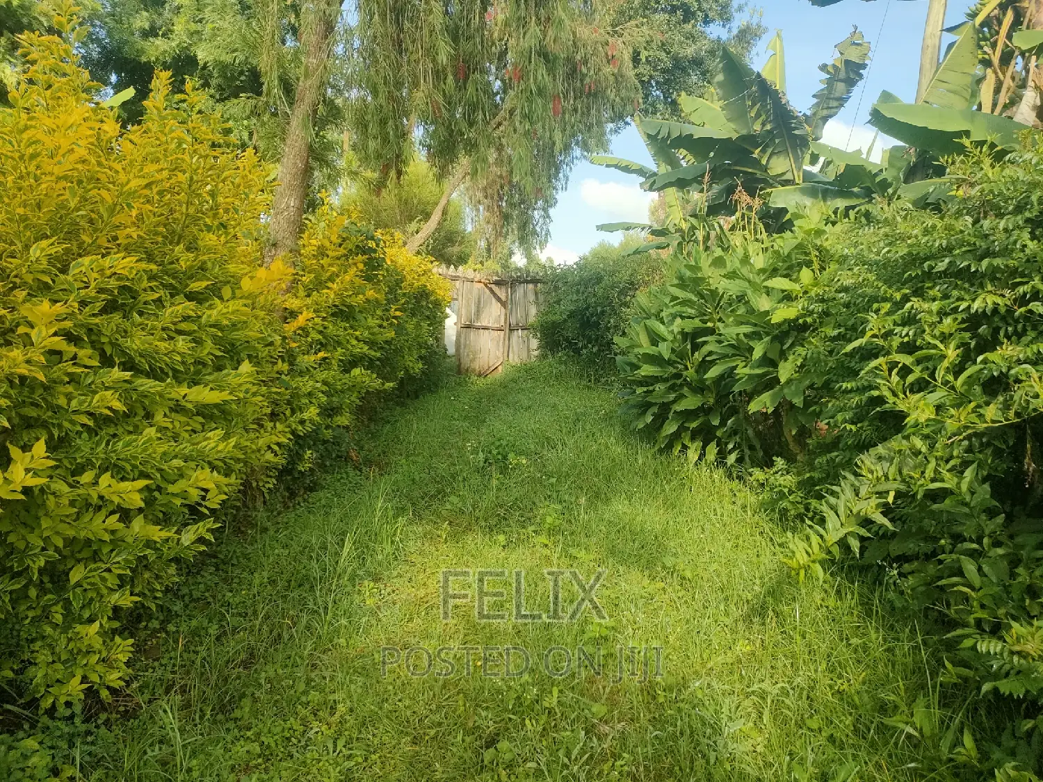 4 Acres Karatina/Kagochi University Main Tarmac